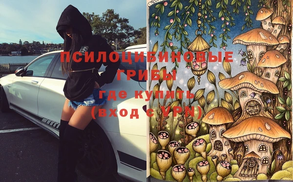 кокс Михайловск