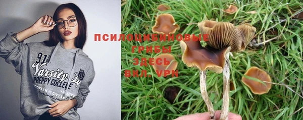 индика Бабаево