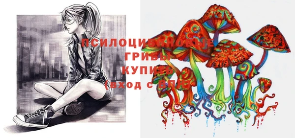 шишки Наволоки