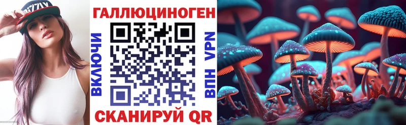 купить наркотики сайты  Клин  Псилоцибиновые грибы Psilocybine cubensis 