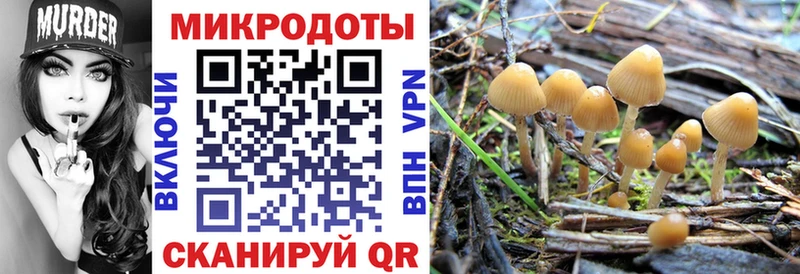 Псилоцибиновые грибы мухоморы Клин