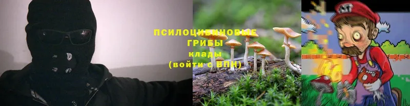 Галлюциногенные грибы MAGIC MUSHROOMS Клин