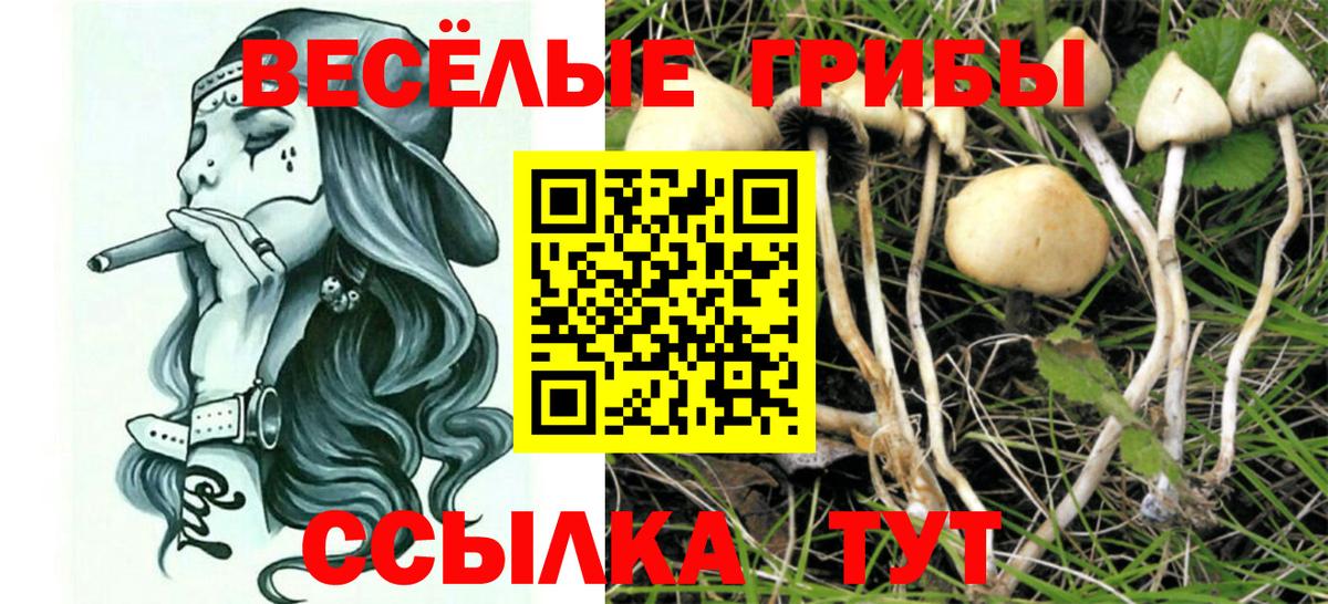 Галлюциногенные грибы Cubensis  магазин  наркотиков  Вход с VPN  Клин  Псилоцибиновые грибы MAGIC MUSHROOMS 
