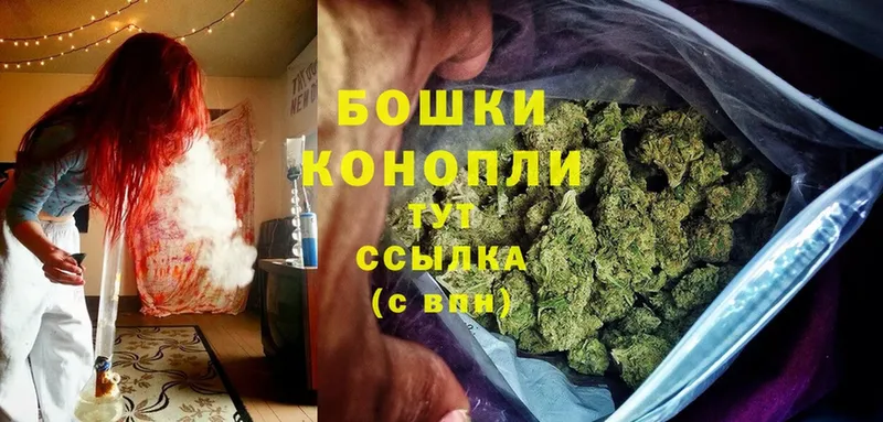 Бошки марихуана SATIVA & INDICA  мега ССЫЛКА  Клин 