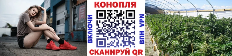 маркетплейс официальный сайт  Клин  Канабис ГИДРОПОН 